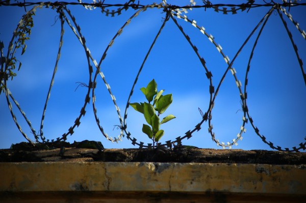 Ciclo Nuevas Perspectivas en Derecho penitenciario