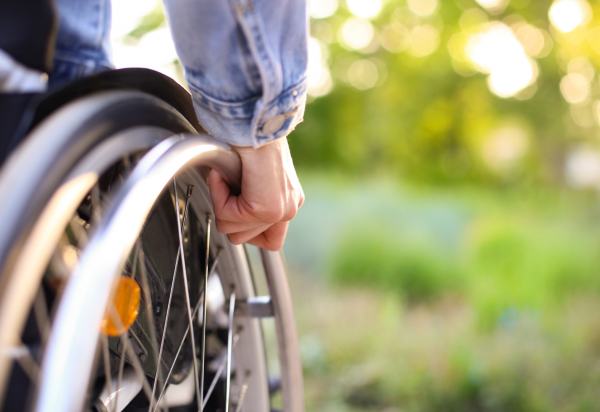 Ficha de inscripción abierta para el curso Acompañamientos de las personas con discapacidad funcional en las instituciones