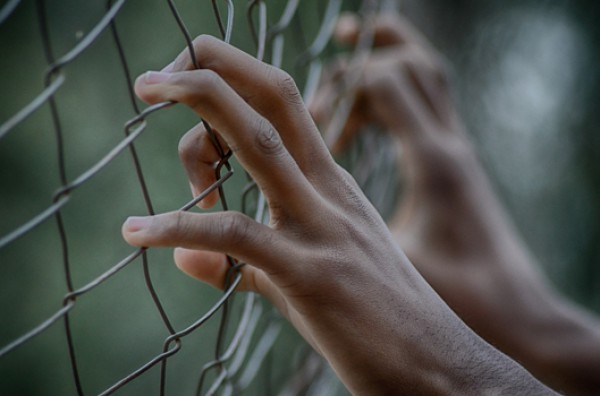 El curso es muy interesante al  plantearse como una convivencia en un centro penitenciario con alumnos  internos, funcionarios de  prisiones y profesores
