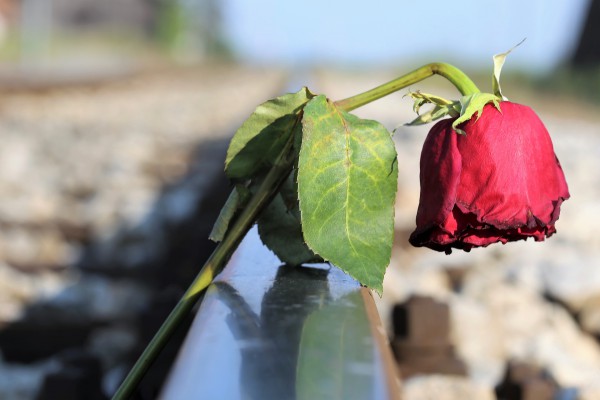 Curso Suicidio: factores de riesgo y estrategias de prevención e intervención